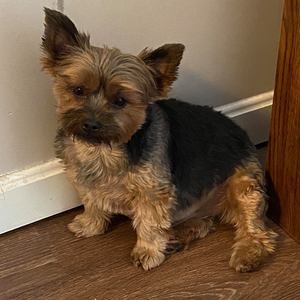 Meet your Posher, Cheryl